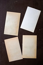 20s フランス 4set 膨満な花々と野菜たち 種子袋用ラベルg アンティーク