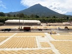GUATEMALA Hunapu Fully Washed 100g