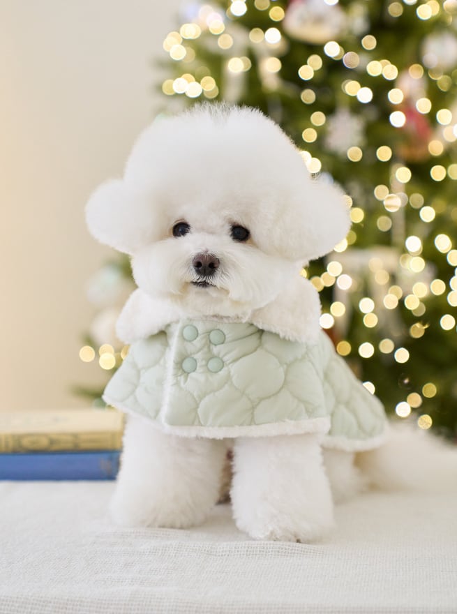 予約【noutti】Soda Padding Poncho (Mint)