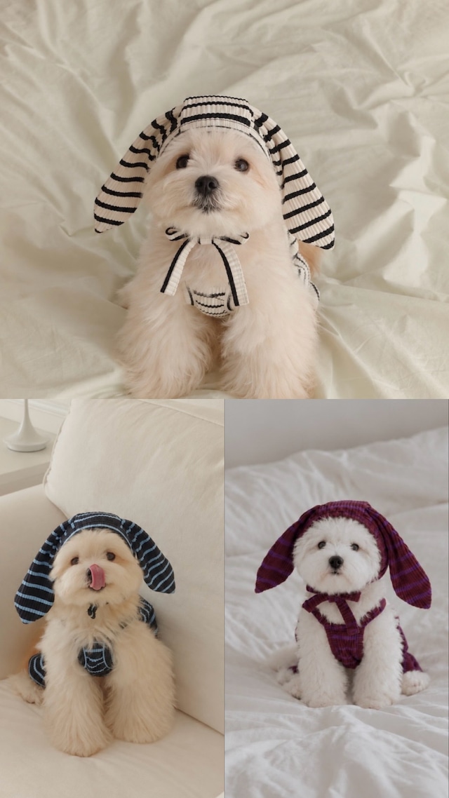 予約販売　Stripe Bunny Hat ( 3color)　ストライプバニーハット　韓国犬服　ounce（旧　AUGUSMON）　