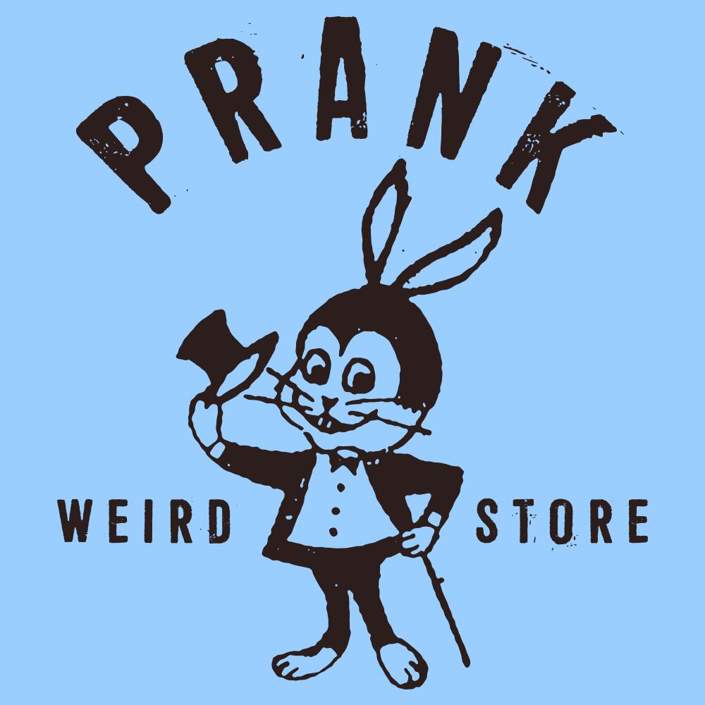 PRANK Weird Collection Pull Over Parka SAX