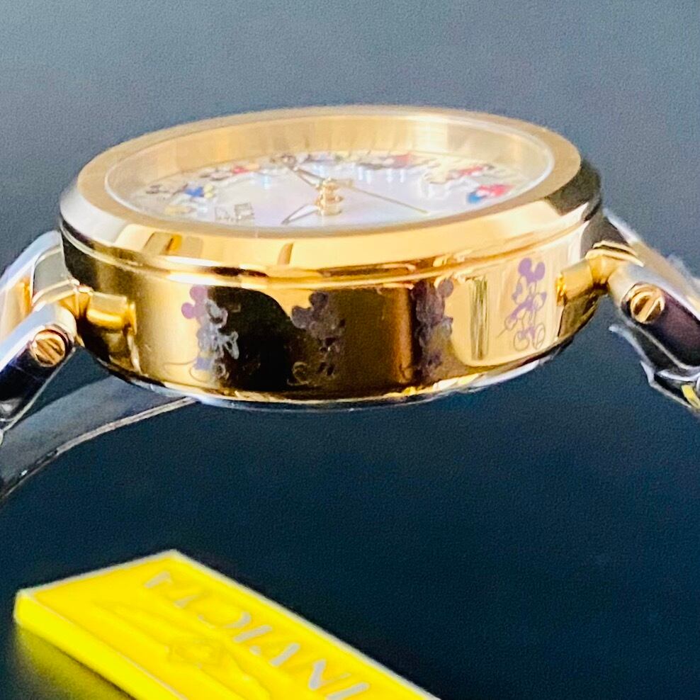 【高級時計 インビクタ】INVICTA ディズニー リミテッド エディション