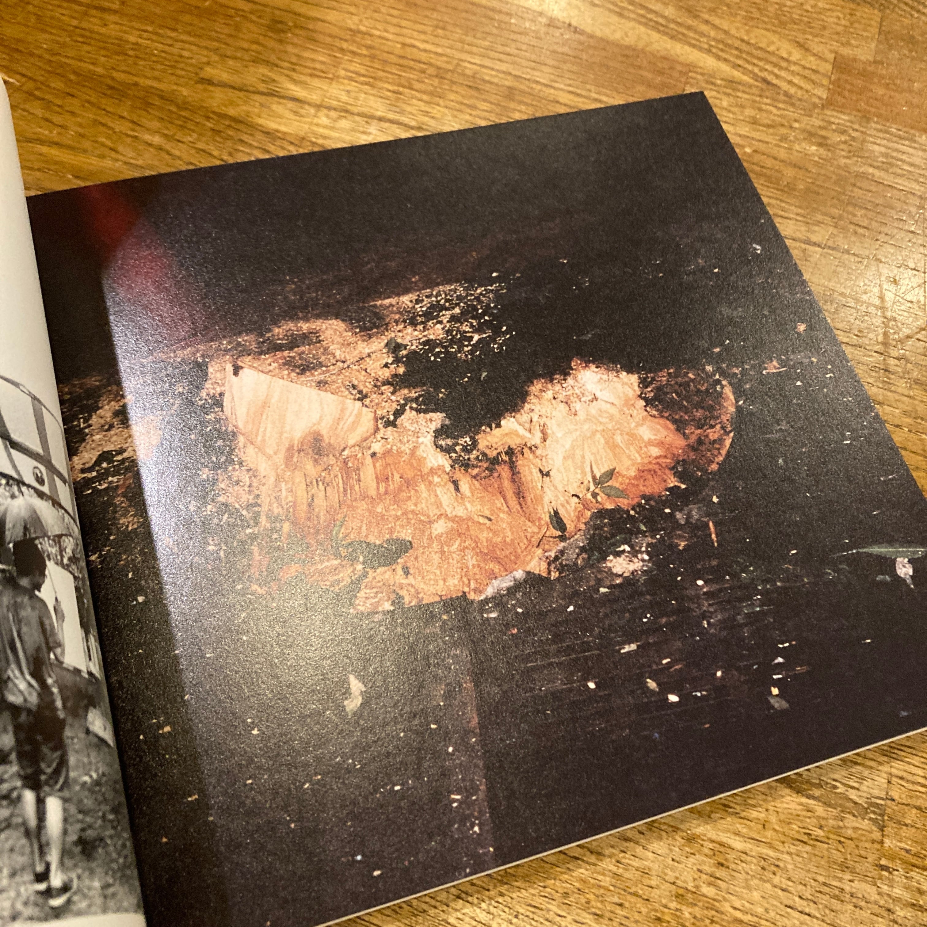 ground / yusuke yamatani 山谷佑介 | 百年