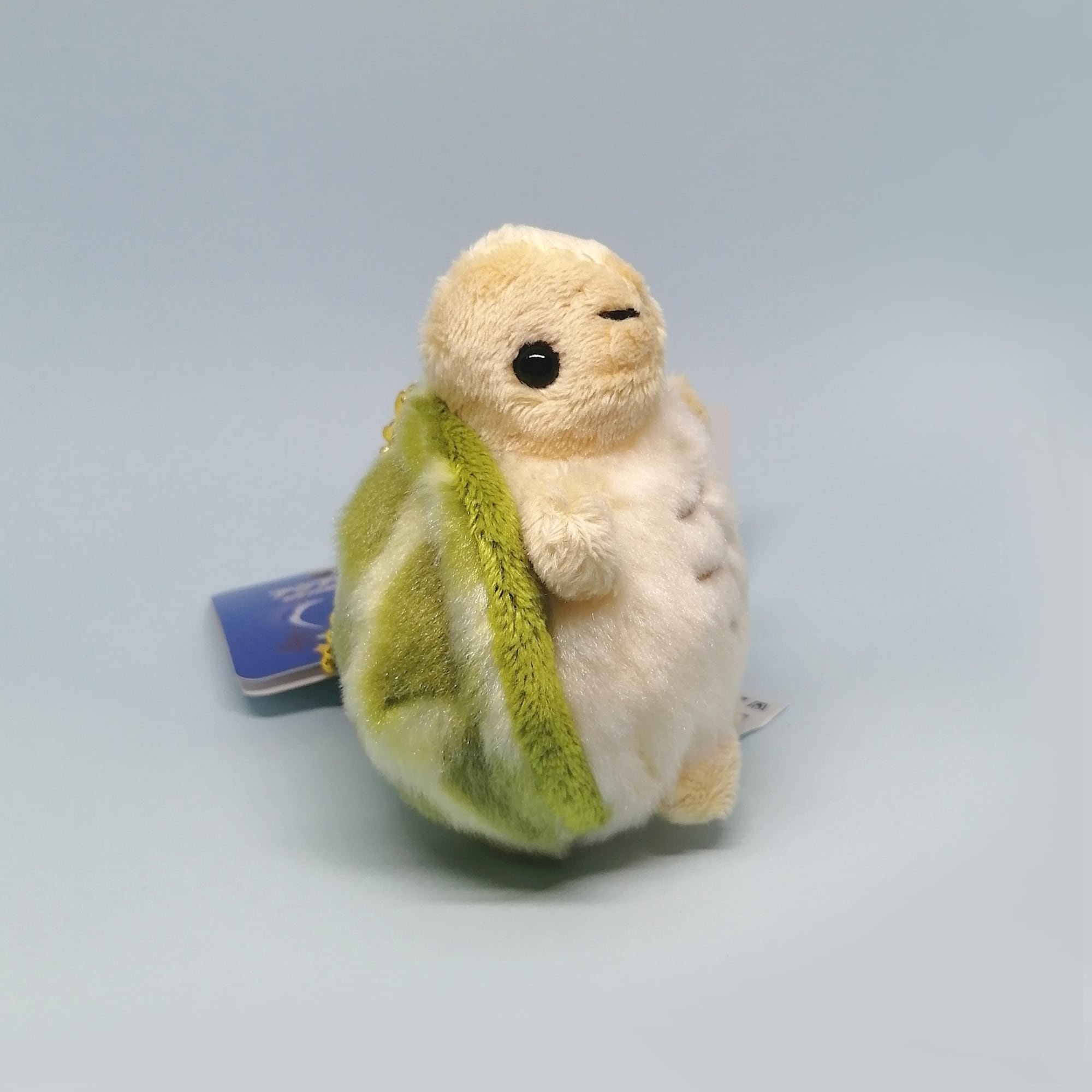 カメのオリンピック・コロコロカメちゃん(Schildi 可愛かっ Schildkrote)