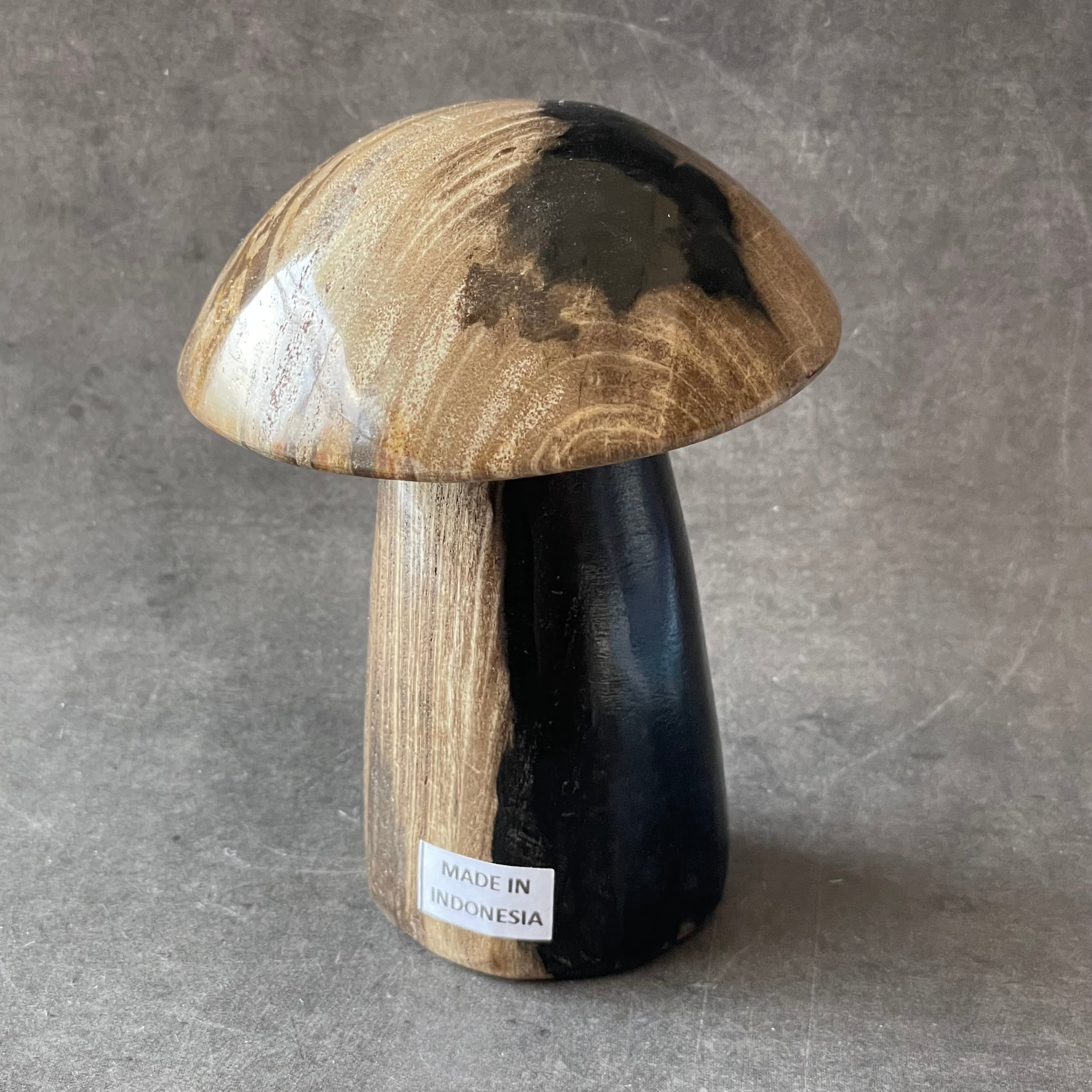 インドネシア産♦︎Petrified Wood ペトリファイドウッド|mushroom