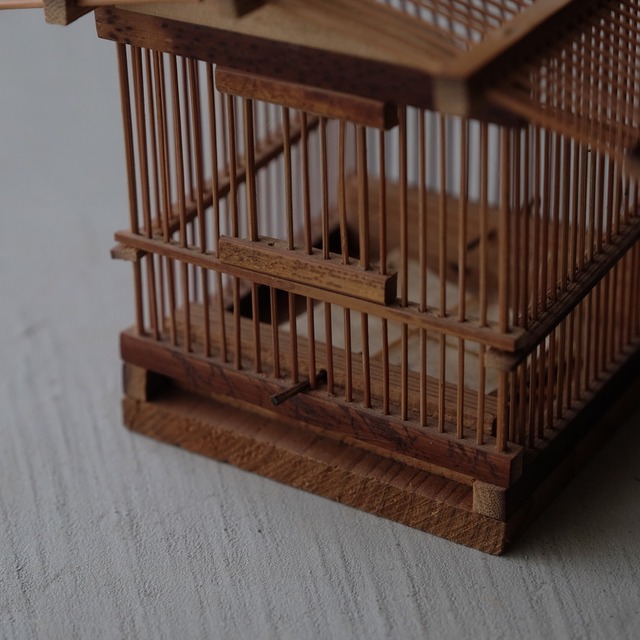 Insect cage