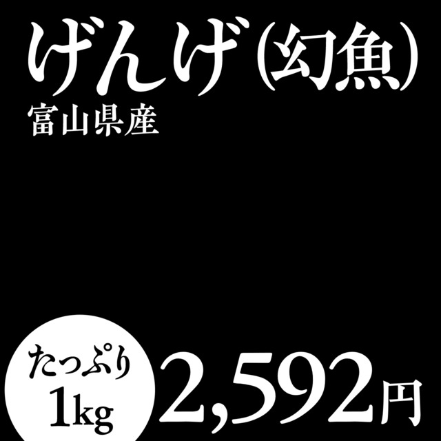 (1087)富山県産ゲンゲ（1kg）