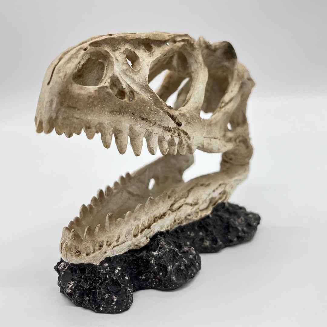 ティラノサウルス 頭骸骨 レプリカ インテリア 恐竜の化石 オブジェ