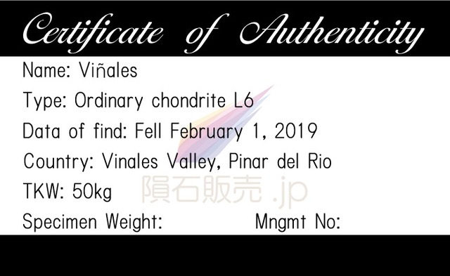 ビニャーレス 隕石 2.1g 普通コンドライト L6 石質隕石 標本 Vinales M2602