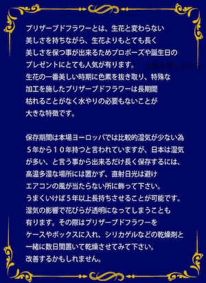 枯れないお花！赤バラ４本のプリザーブドフラワー クリアケース入り 花言葉は「死ぬまで気持ちは変わらない」告白やプロポーズ、結婚４周年のプレゼントに最適