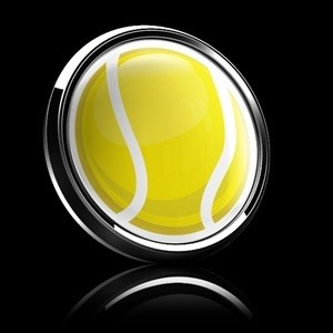 206番 ゴーバッジ SPORTS TENNISBALL