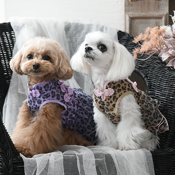 新品 タグ付 ANNA SUI アナスイ チャイナ風 ドレス ワンピース レトロ ANNA SUI（アナスイ）ヒョウ柄チャイナワンピース XS/S/M/L/2L