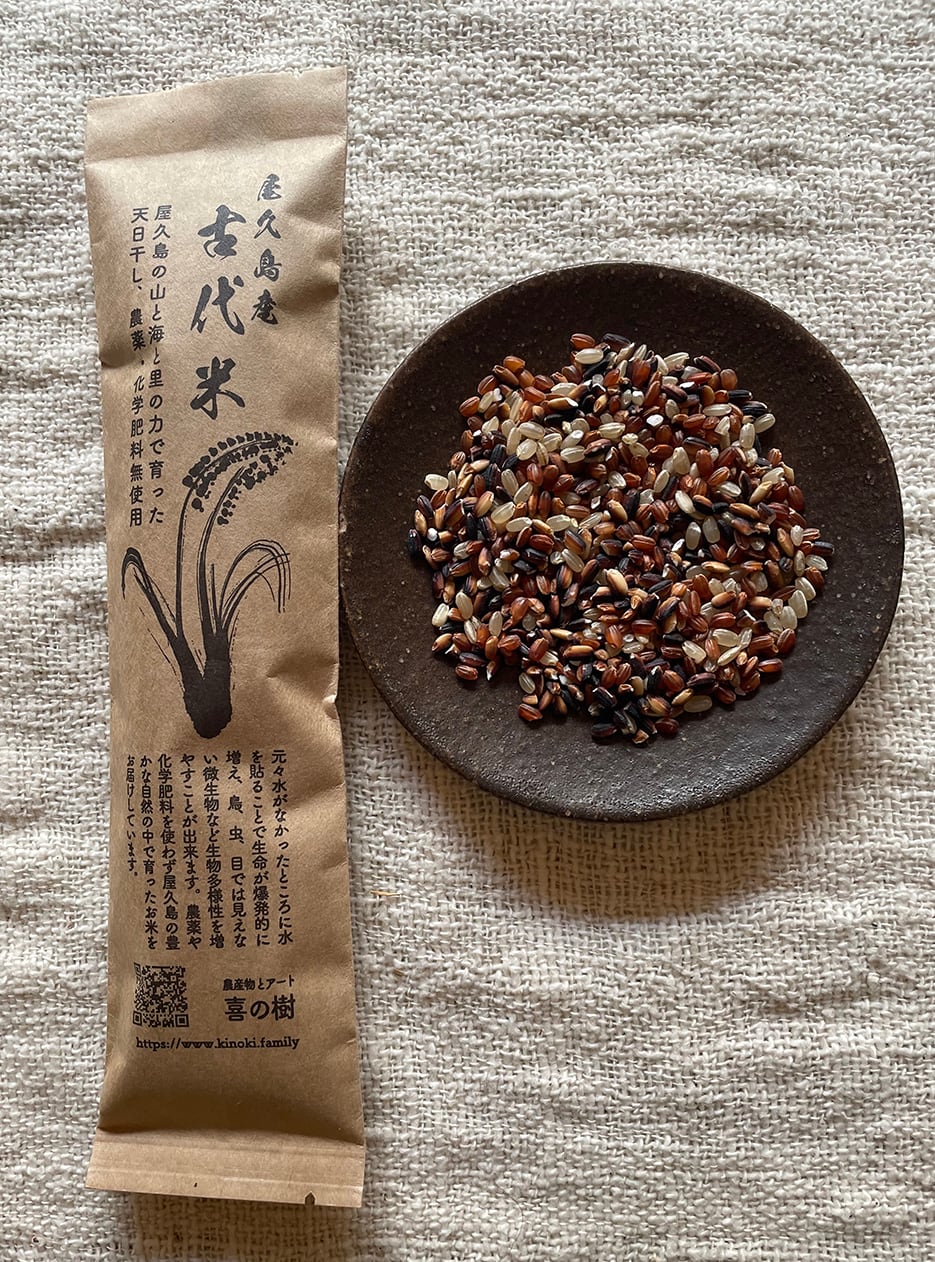 令和7年度産・屋久島・古代米・黒米300g（農薬・化学肥料無使用）100g