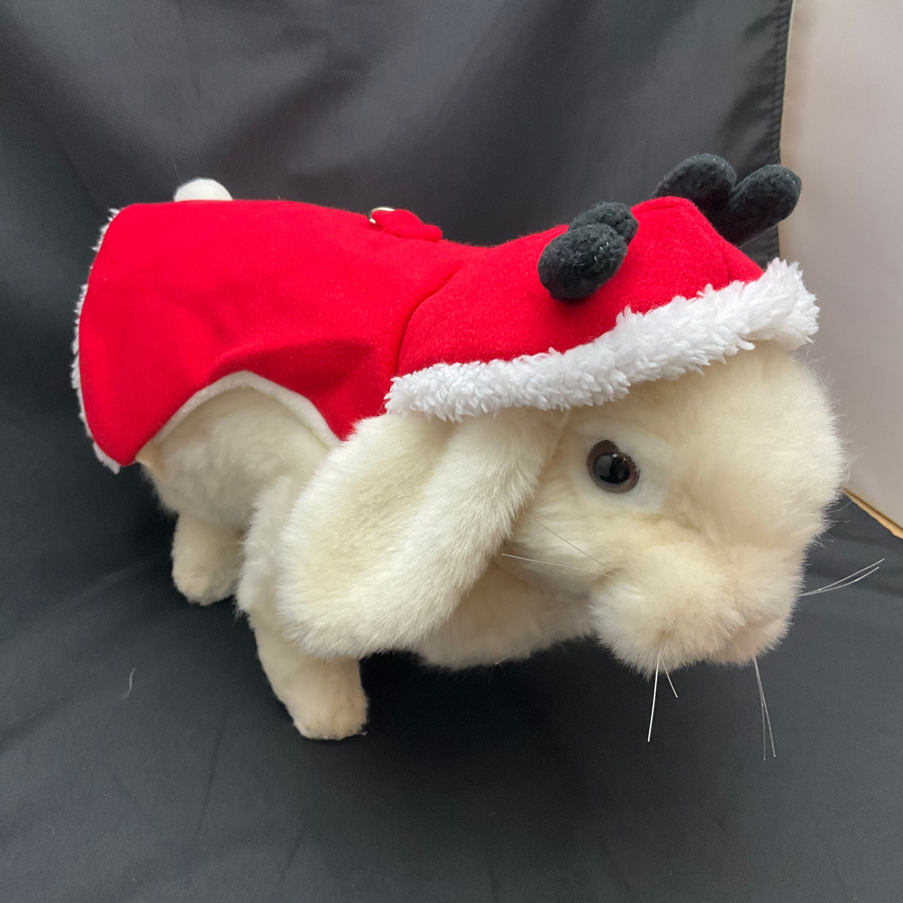 リード付ハーネス クリスマス うさぎセレクトショップ森音