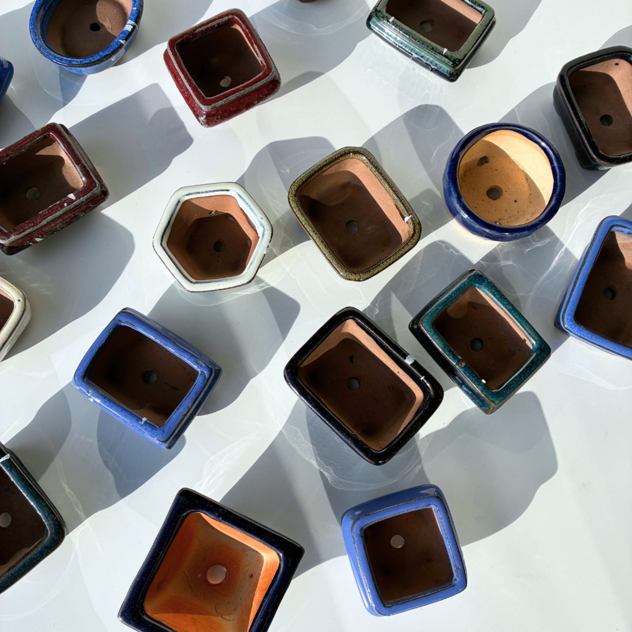 【受注生産品】fuwafuwa BONSAI ／盆栽 - 15