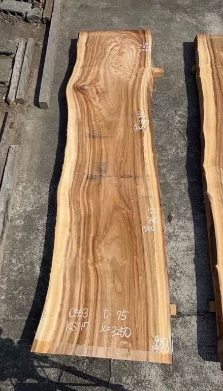 楠(クス)_3250×930-725×75_原板 N2637