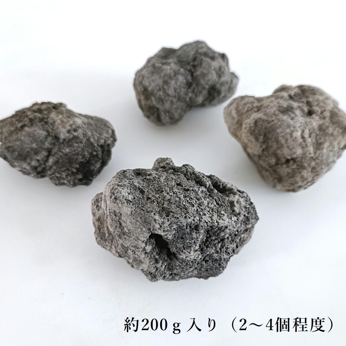 溶岩石 Mサイズ（4〜6㎝）2〜4個入り【レイアウト用・着生用】 | 苔