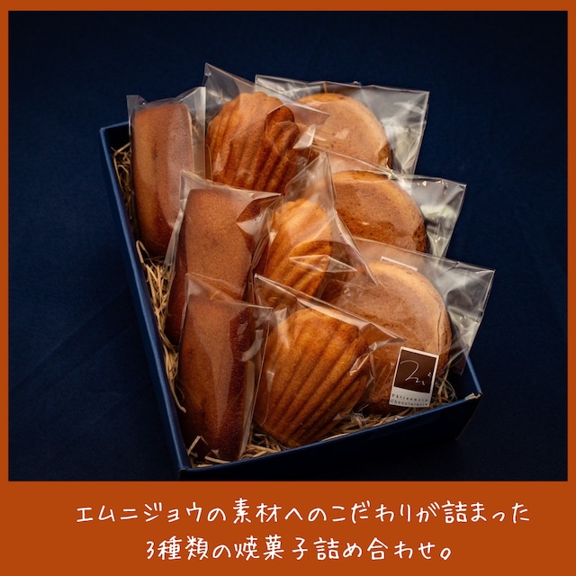 パティスリーエムニジョウ焼菓子セット1