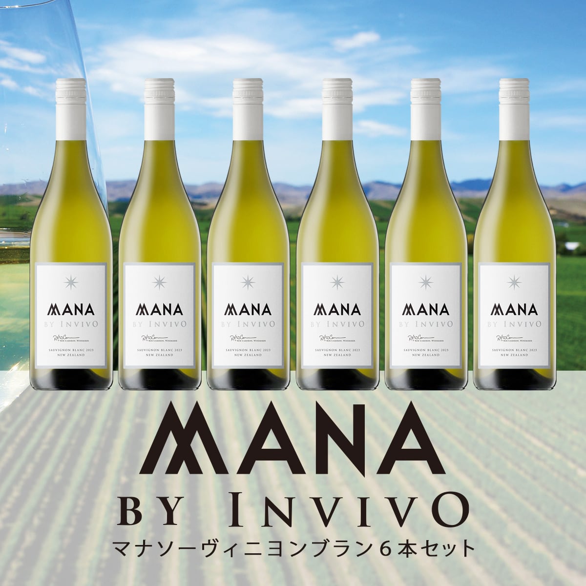 10%OFF】マナソーヴィニヨンブラン6本セット | Southern Cross Wine