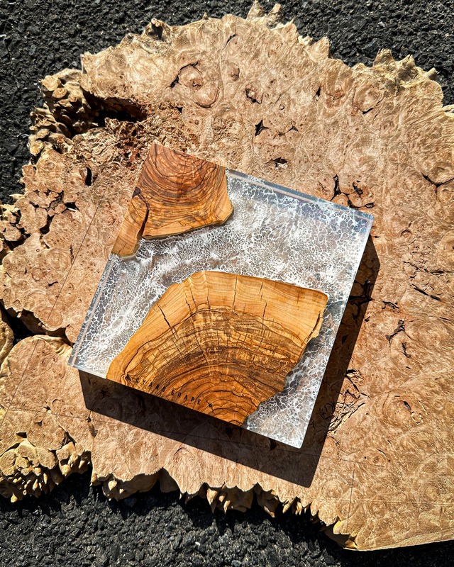 OceanPiece 18size Olive×Polaris