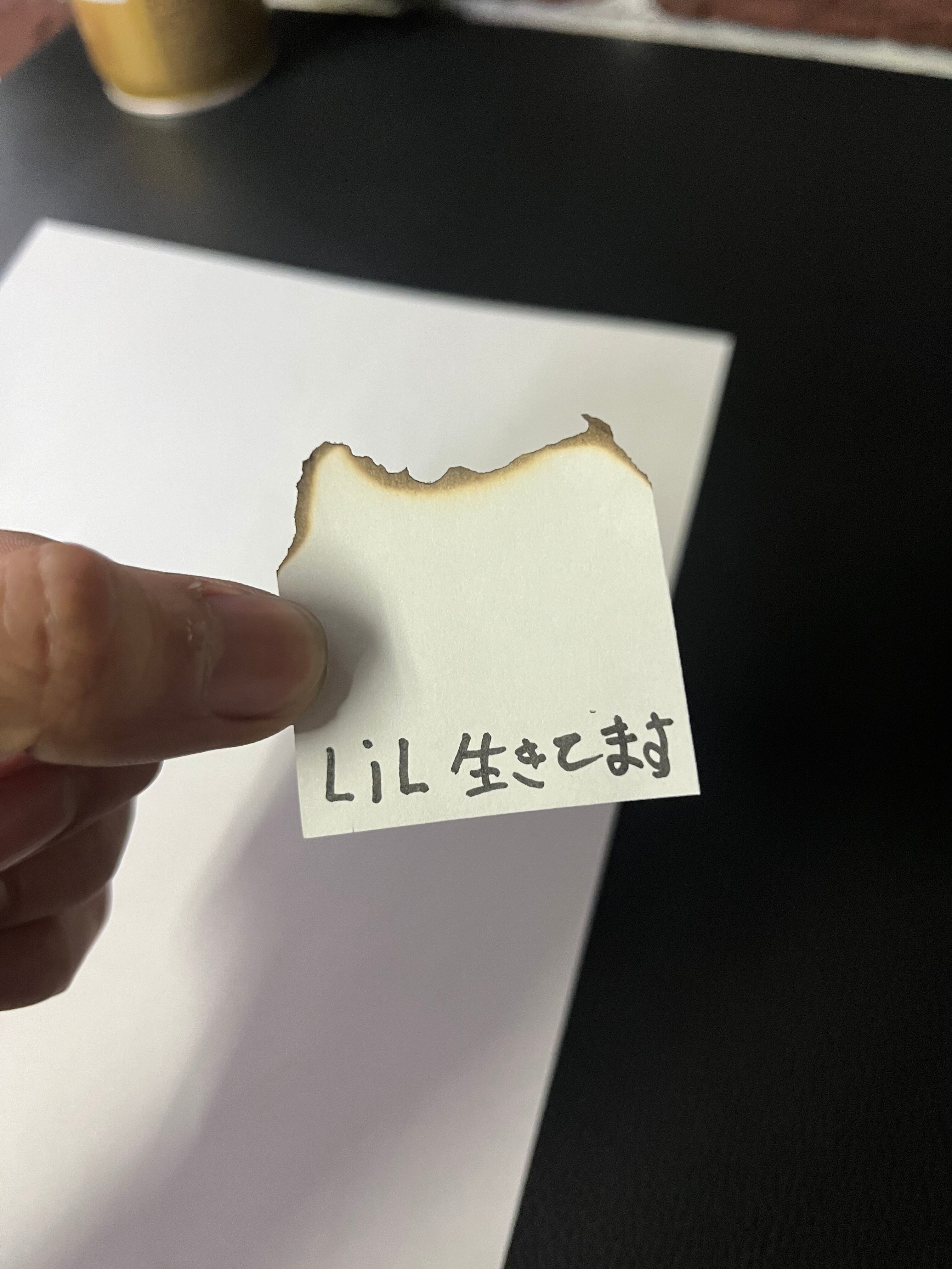lil鉄火巻の変な物