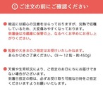 【銅賞受賞御礼《150箱限定！15％オフ＆送料無料》】原宿ベリーの大粒いちご(450g) 1/9より発送開始