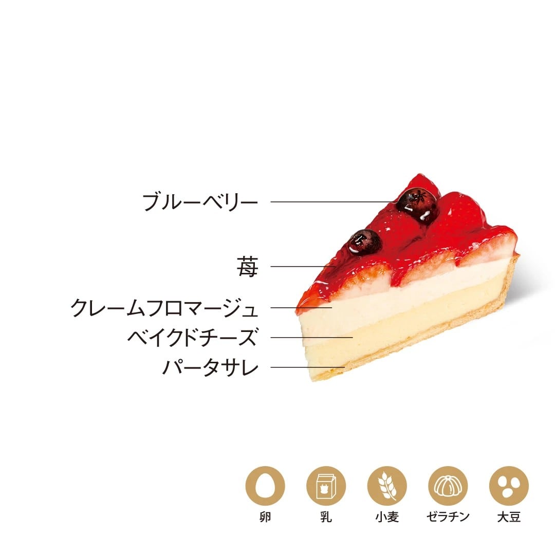 〈5HORN〉ストロベリーチーズタルト 1個【期間限定 12/19配送分まで】