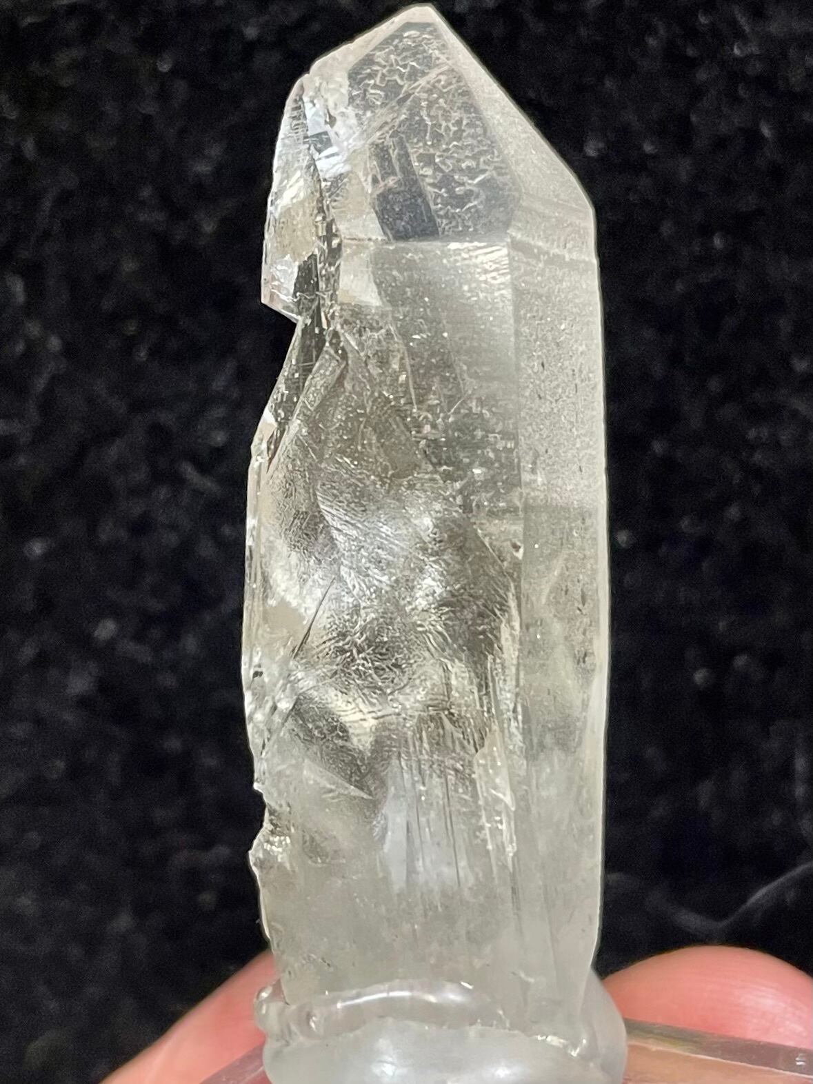 5) ロシアン・レムリアン