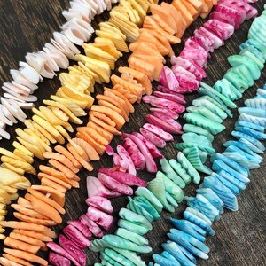 SALE【10g】天然シェル/貝/染色ビーズ/スペーサー