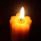 SA-1 桜 蜜蝋キャンドル