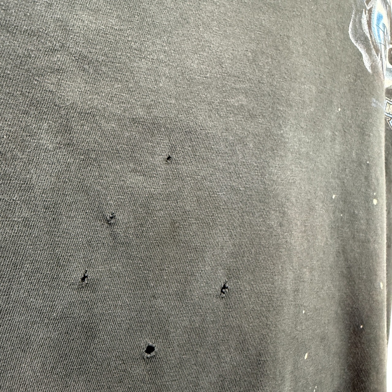 【HARLEY DAVIDSON× Looney Tunes】ハーレーダビットソン × ルーニー・テューンズ ロングTシャツ L