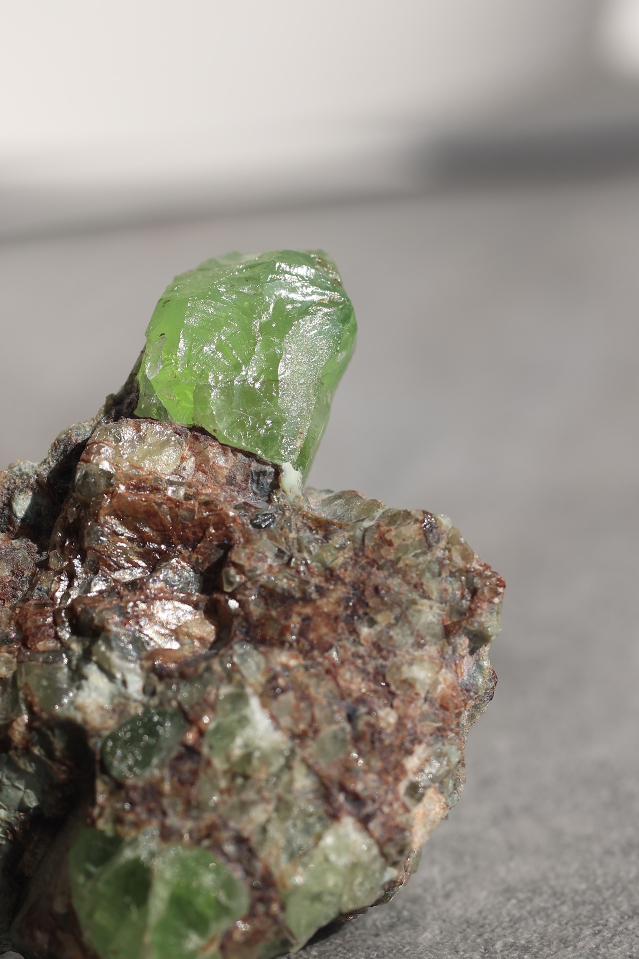 ペリドット「新緑の息吹」Peridot|天然石 原石 鉱物 パワーストーン | PD-H-002