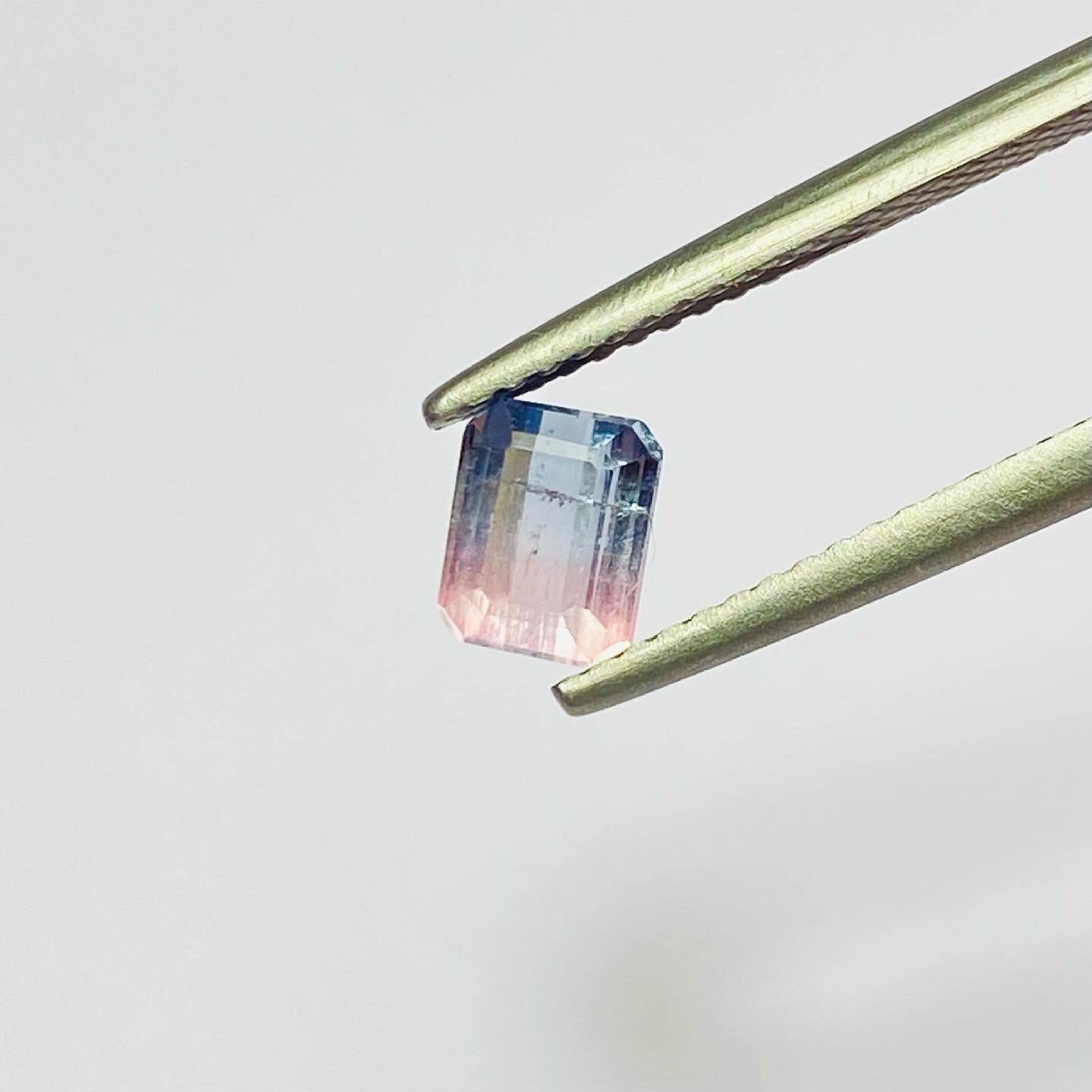 大人プリンス♡プリンセスバイカラートルマリン