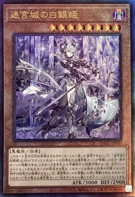 【美品】迷宮城の白銀姫(レリーフ)