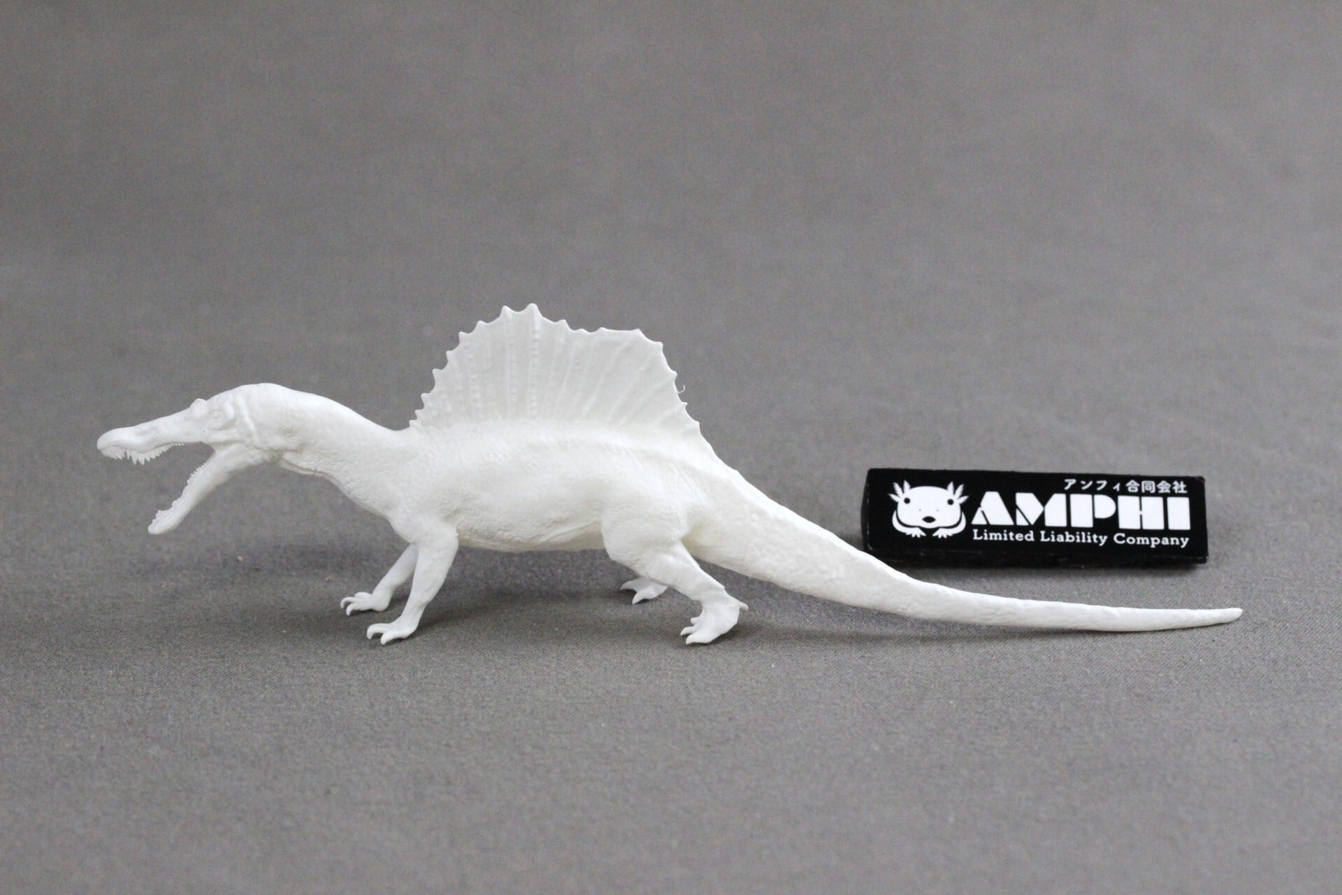 約8cm】カマラサウルス 縮小頭骨レプリカ | アンフィ合同会社