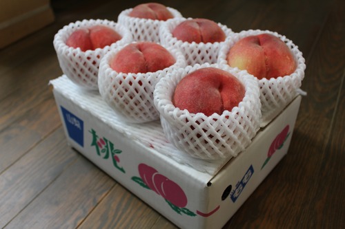 『朝どり・冷蔵保存無し』桃（さくら　硬い桃）２kg箱
