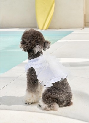 即納【MYLITTLEDOG】Soda Top (white)