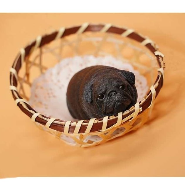 Exquisite figure -Pug Bread- plush22 | Pug shower - パグシャワー