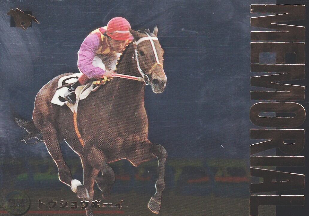 競馬1996年サラブレッドカード　約668枚 競馬1996年サラブレッドカード 約668枚 競馬1996年サラブレッドカード