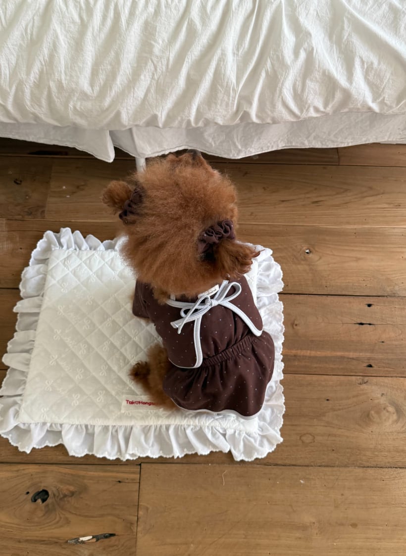 Ops+Bolero/予約【tak!tak!tak!tak!】Choco (Mocha dot cardigan set)