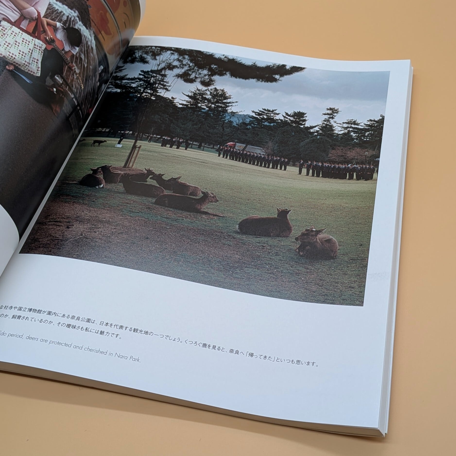 なら 秋山亮二 写真集 | まわりみち文庫