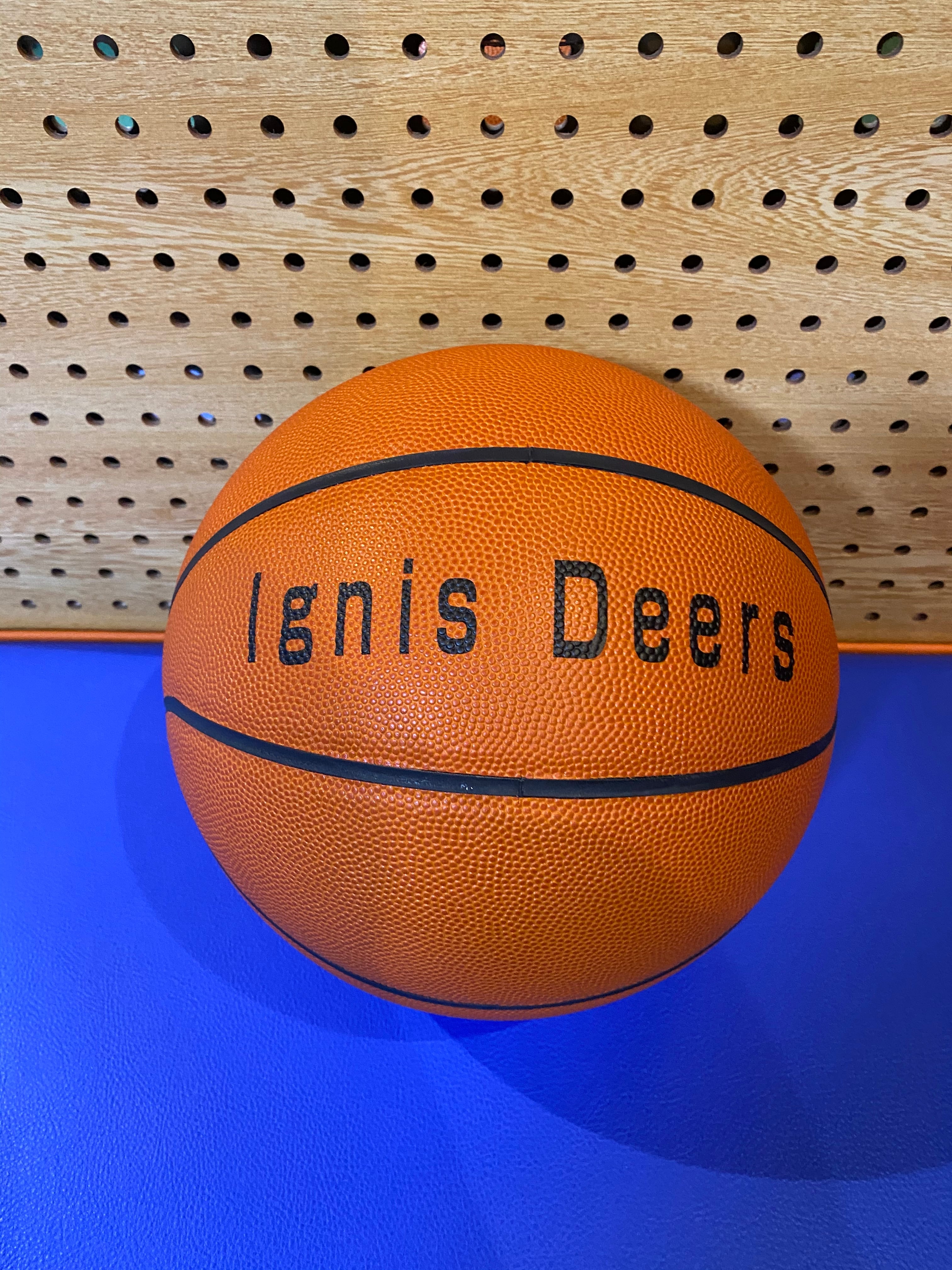 【デザインサンプル】Ignis Deers（U15・男子）バスケットボール | Hoopnsk