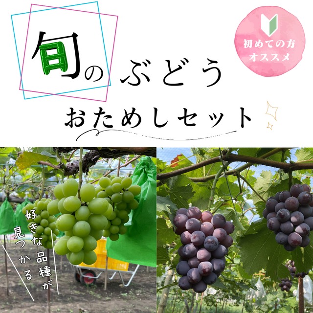 【家庭用・岡山県産】詰め合わせ（2kg）