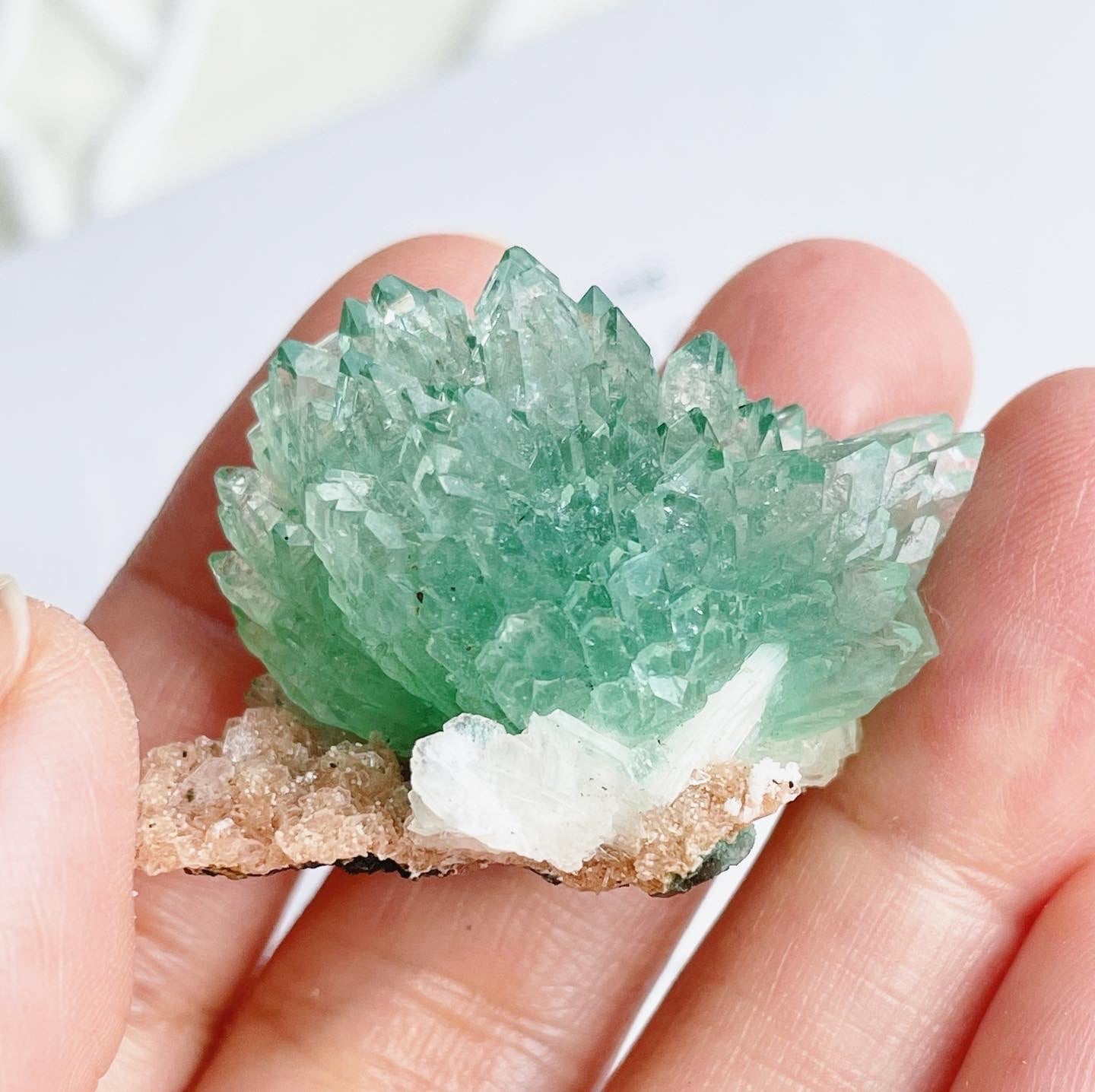 Flower Green Apophyllite 4 | FLUXY - 天然石と鉱物のお店 フラクシー