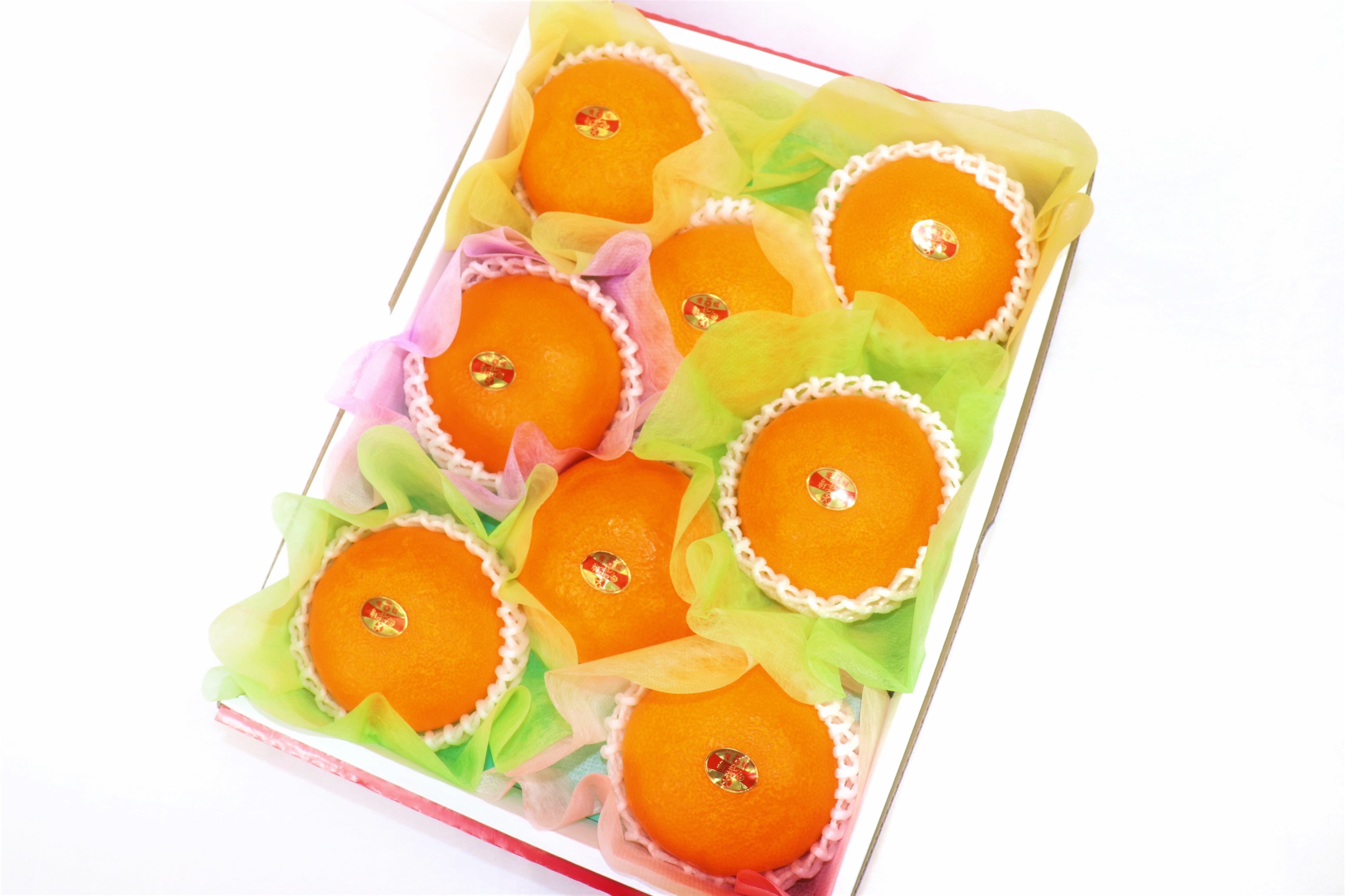 PALOROSA 新品未使用 美品 タグ付き メロンカラー JA×カネカ食品 ラブレ乳酸菌入りグミ 渥美メロン 40g ＜1袋＞ | カネカ