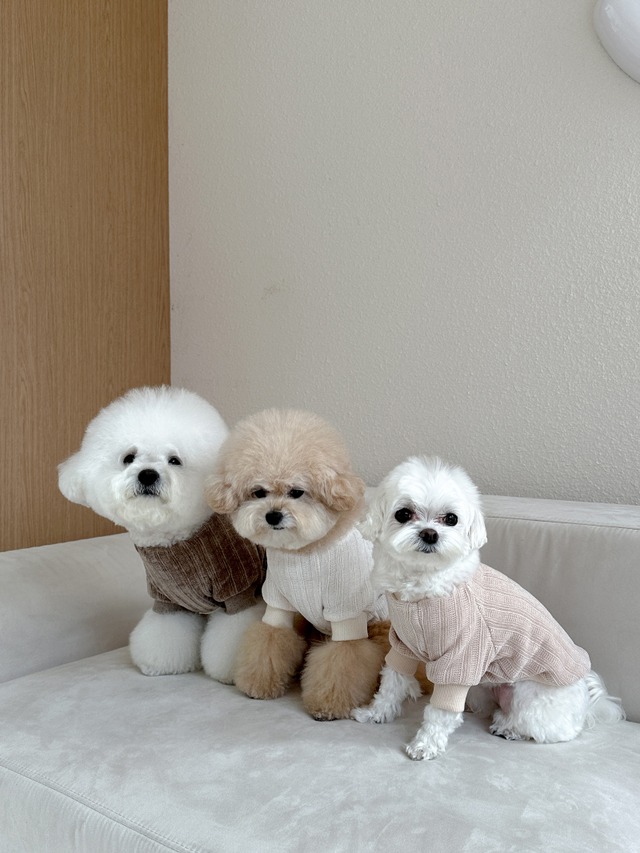 〈即納アイテム〉EYOU トップス / ベルベティセーター (ピンク)