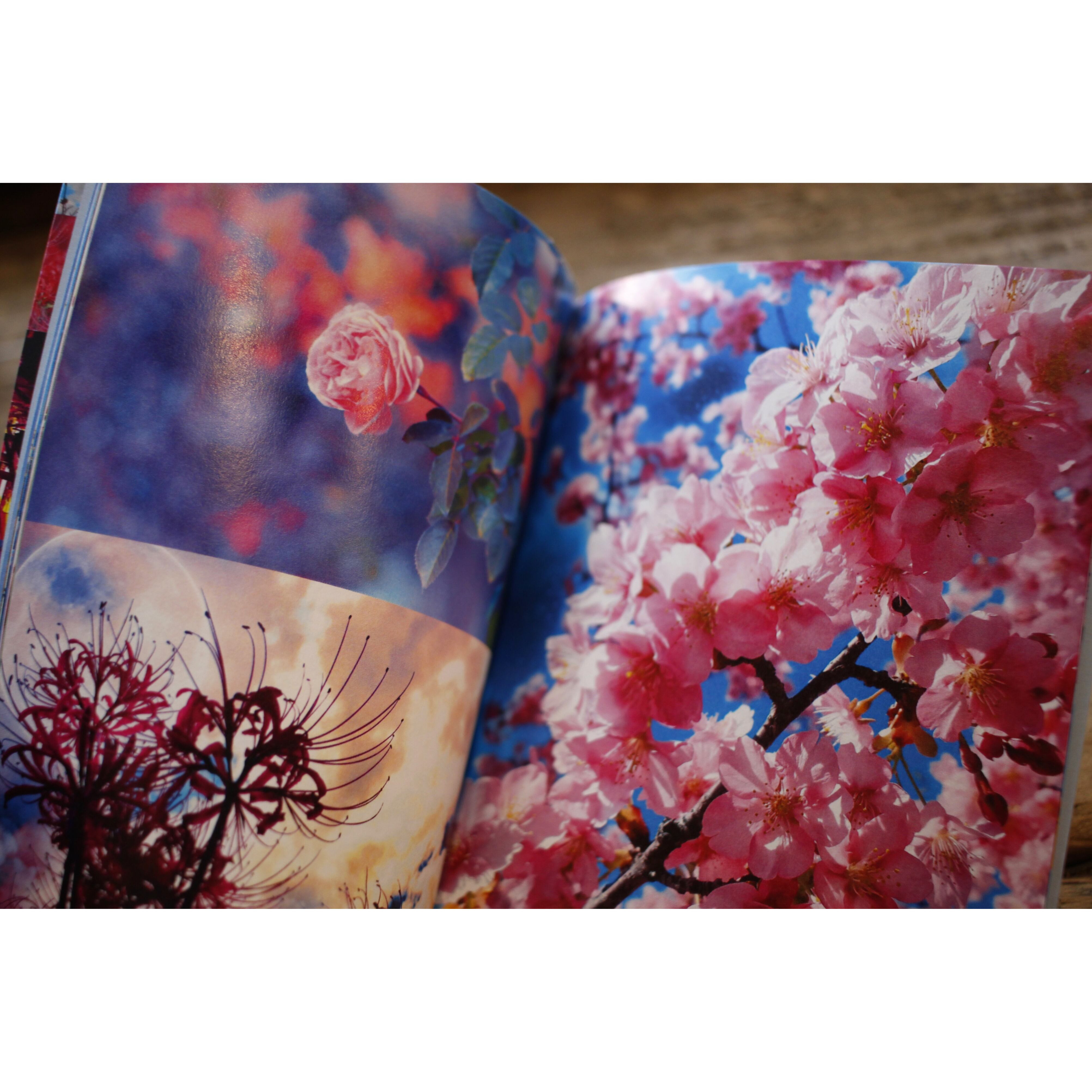 NAMACHEKO フォトブック フォトブック⑤「tsunena（つねな）」(24ページ） | 訓子kunko