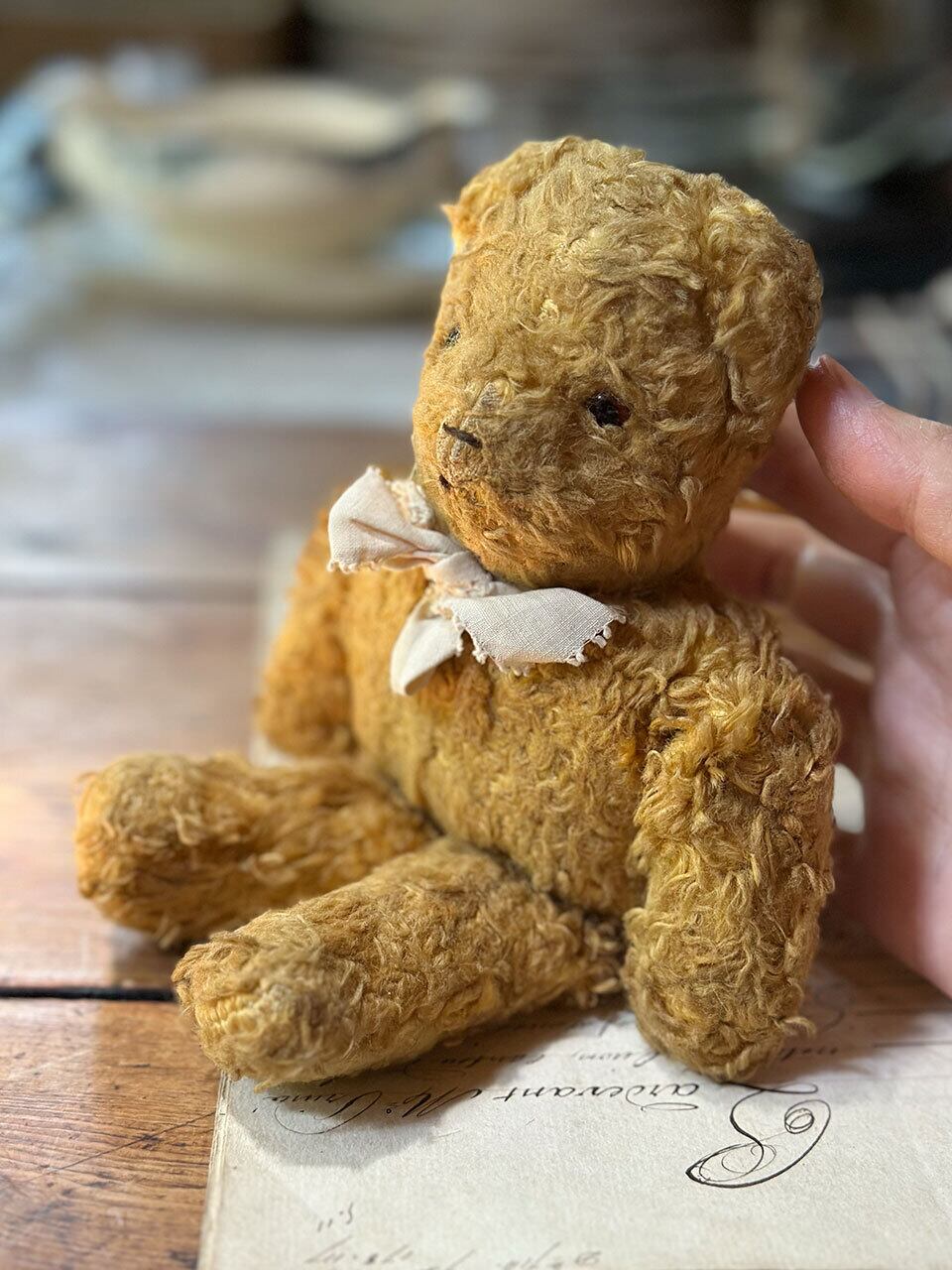 片手サイズ 小さなくったりベア | Brocante de La Cocotte （フランス