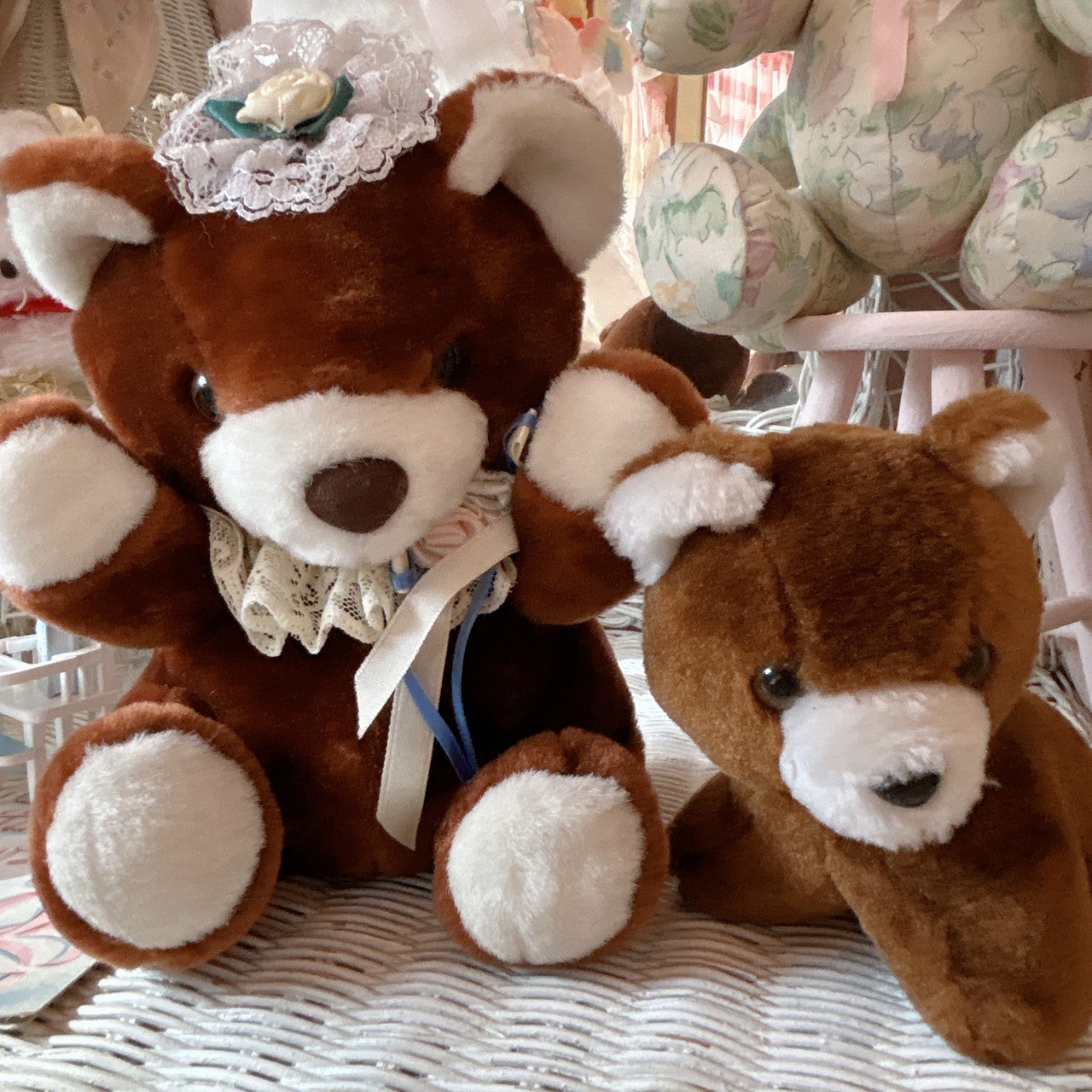 brown bearの画像01