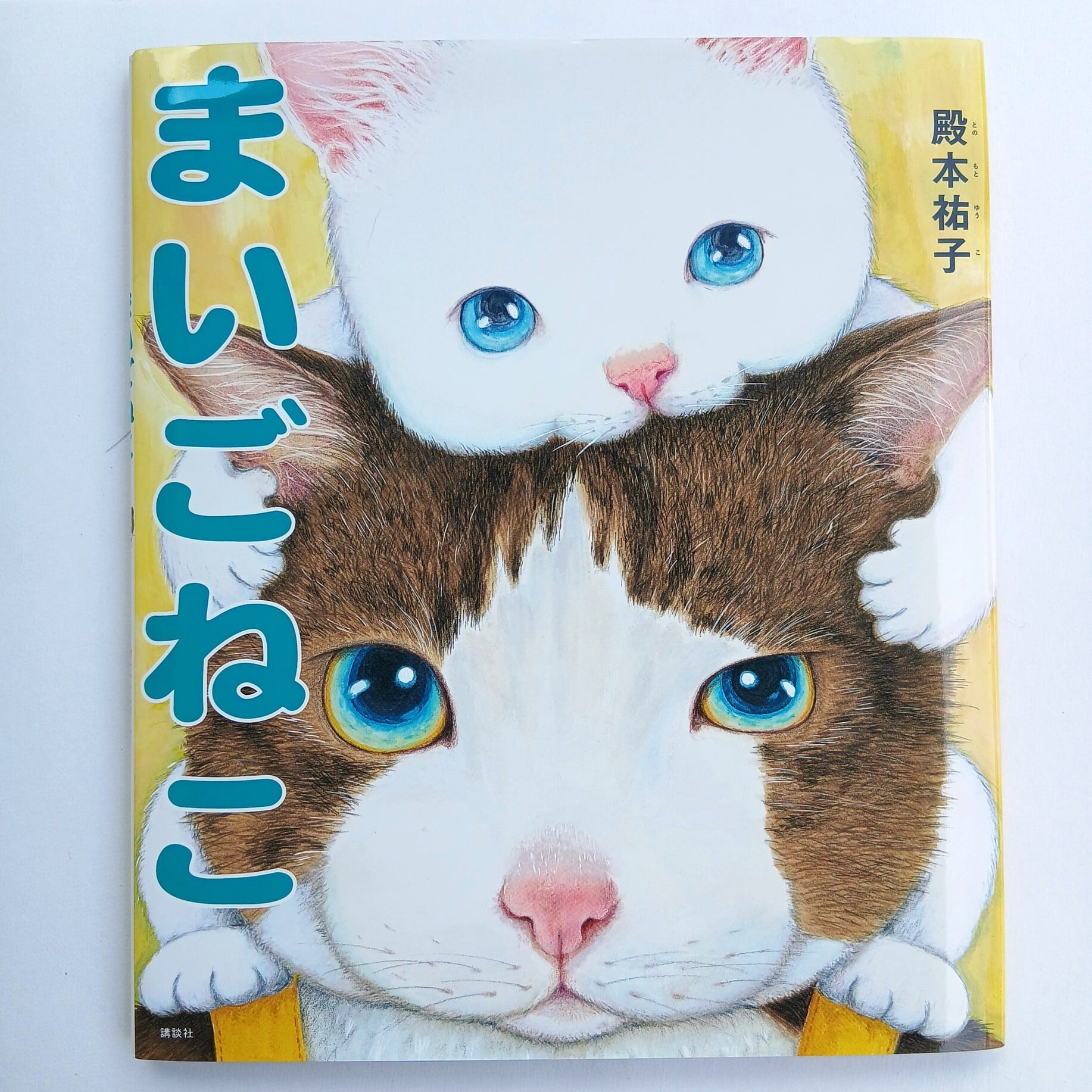 新品の本 | ねこのみち